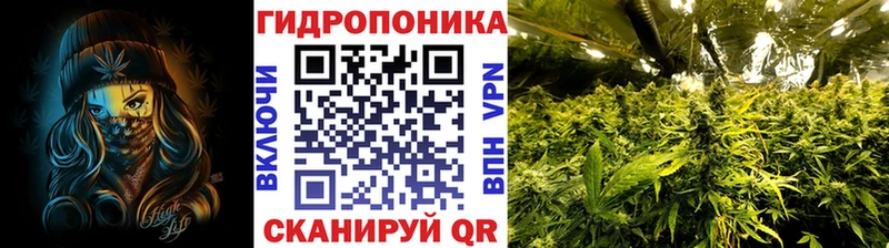 Купить закладку Кола Канабис  Alpha PVP  Гашиш  Мефедрон 