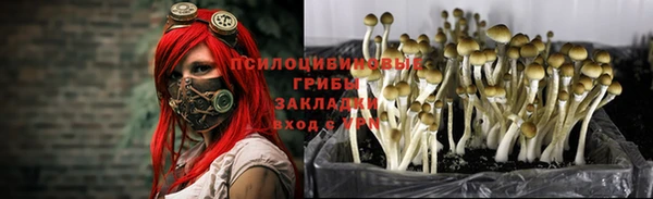 круглые Бронницы