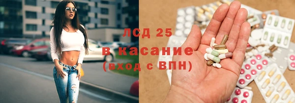 apvp Бородино