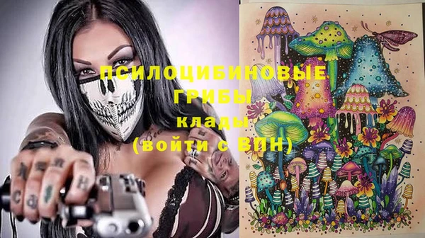 apvp Бородино