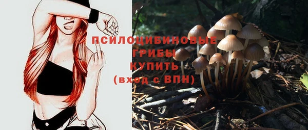 круглые Бронницы