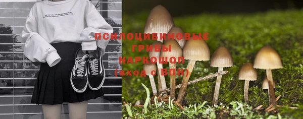 apvp Бородино